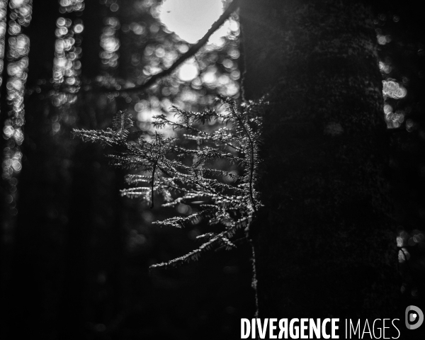 Mon Hiver à l envers # 17