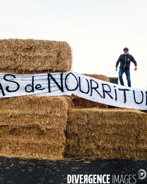 Blocage des agriculteurs, Argenteuil