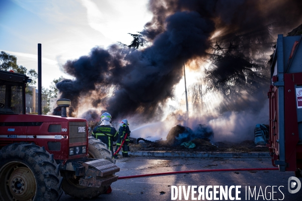 TOULOUSE : Blocage aeroport par les agriculteurs