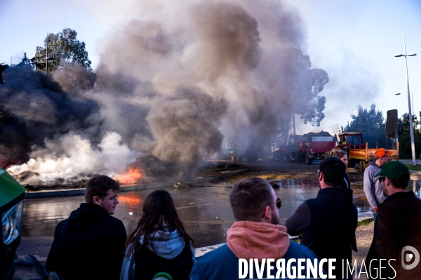 TOULOUSE : Blocage aeroport par les agriculteurs