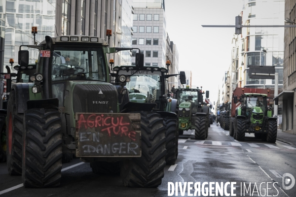 Manifestation des agriculteurs et agricultrices européen.ne.s devant le Parlement européen à Bruxelles.