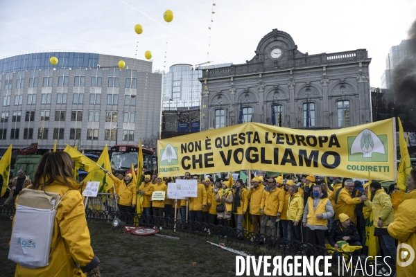 Manifestation des agriculteurs et agricultrices européen.ne.s devant le Parlement européen à Bruxelles.