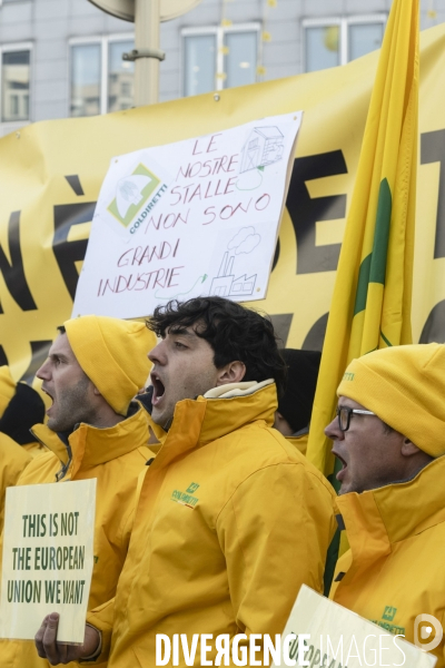 Manifestation des agriculteurs et agricultrices européen.ne.s devant le Parlement européen à Bruxelles.