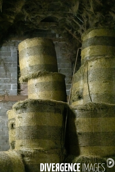 Fabrication du saint Nectaire à la ferme dans le cantal