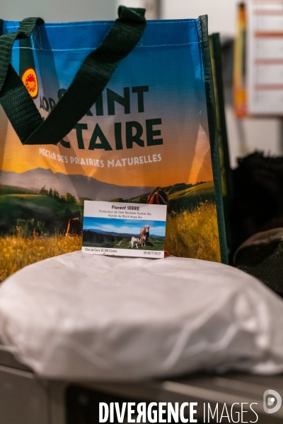 Fabrication du saint Nectaire à la ferme dans le cantal