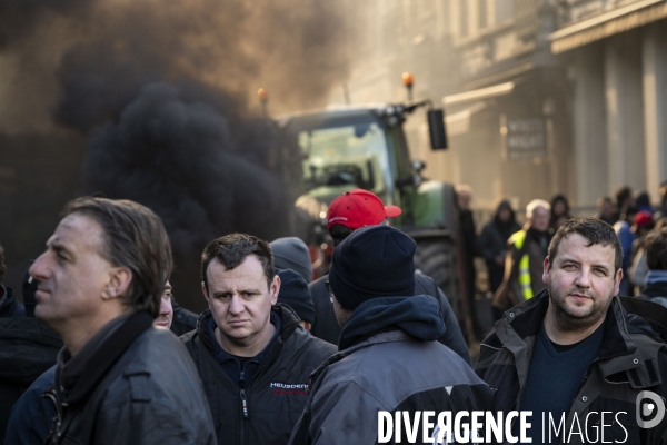 Manifestation des agriculteurs et agricultrices européen.ne.s devant le Parlement européen à Bruxelles.