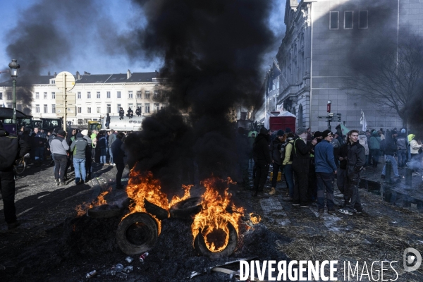 Manifestation des agriculteurs et agricultrices européen.ne.s devant le Parlement européen à Bruxelles.