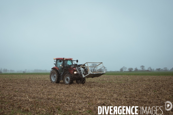 Le tracteur symbole agricole
