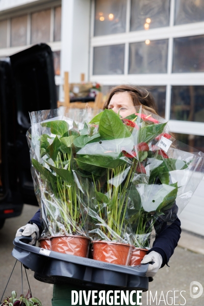 La Brocante Verte
