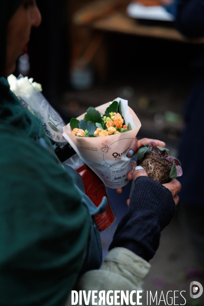 La Brocante Verte