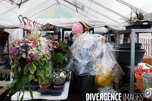 La Brocante Verte