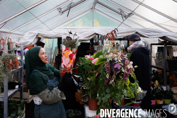 La Brocante Verte