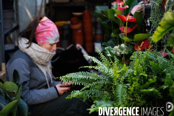 La Brocante Verte