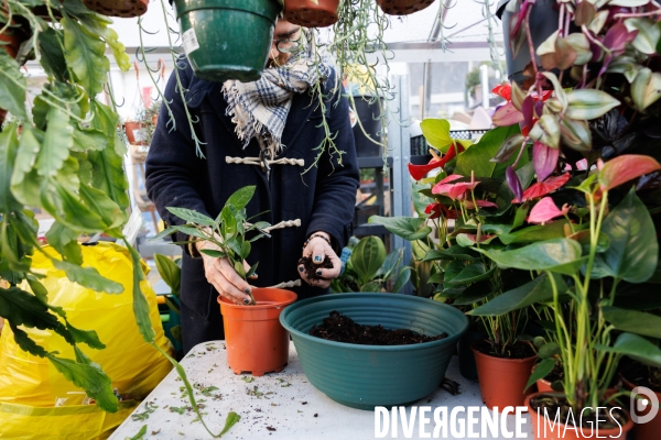 La Brocante Verte
