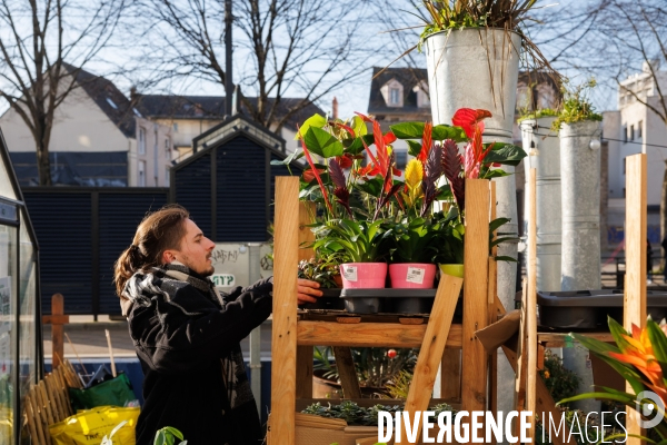 La Brocante Verte