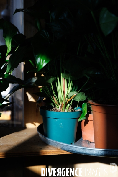 La Brocante Verte