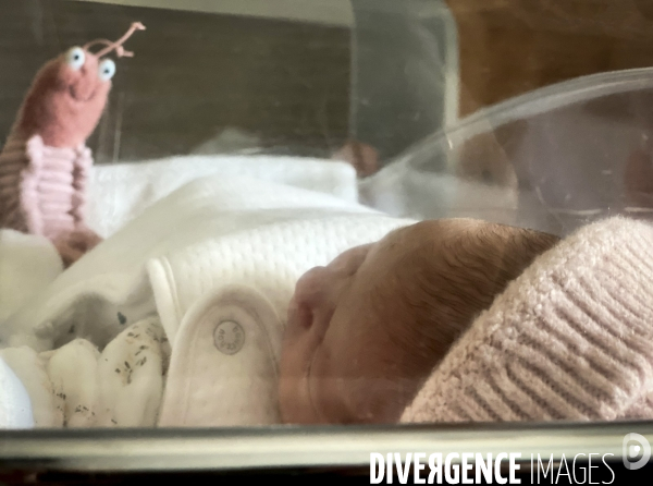 Le bébé Iris A.  1 jour à la Maternité Saint Joseph Marseille