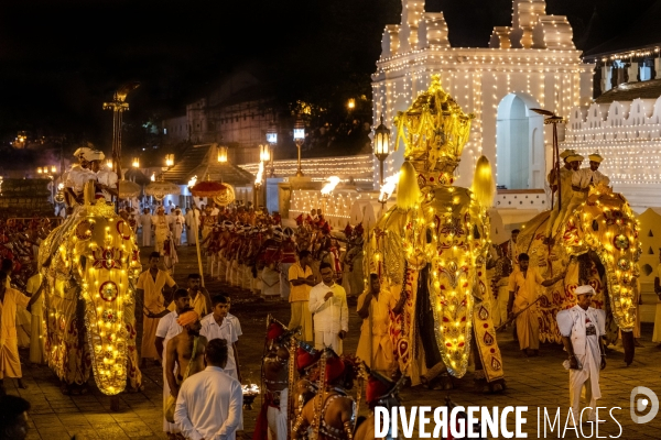 ESALA PERAHERA : Procession bouddhiste au Sri Lanka