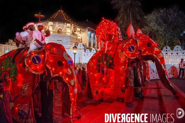 ESALA PERAHERA : Procession bouddhiste au Sri Lanka