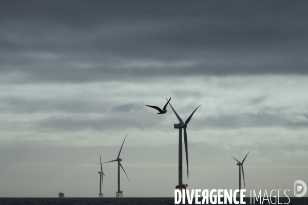 Les éoliennes de la baie de Saint-Brieuc