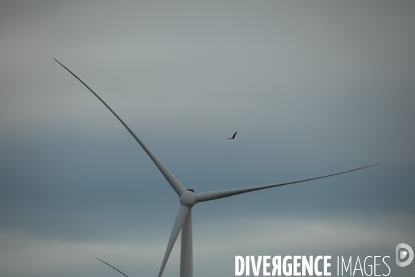 Les éoliennes de la baie de Saint-Brieuc