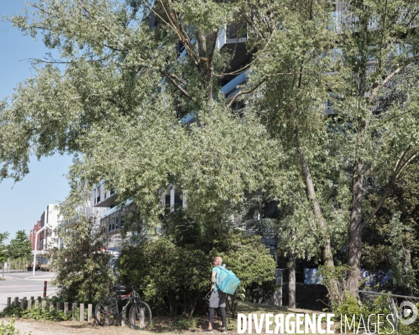 La Défense, livreur Deliveroo esplanade Arena