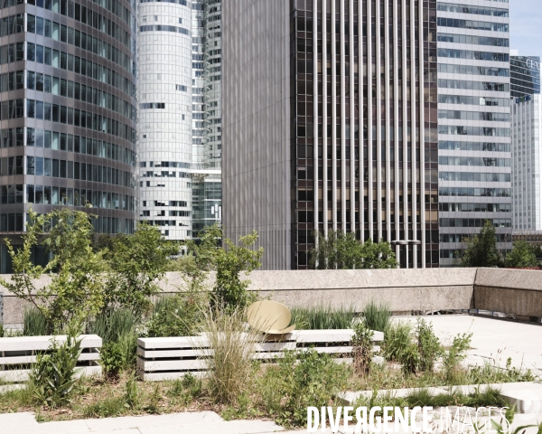 La Défense, petit espace vert aménagé pour les employés 