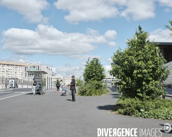 Station RER Nanterre Université, arrêt de bus