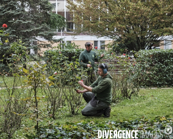 Fontenay-sous-bois quartier Val de Fontenay, les jardiniers de la ville