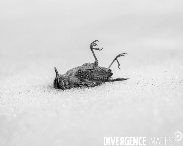 Mon Hiver à l envers # 24