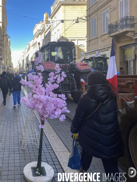 Manifestation d agriculteurs dans le centre -ville de Marseille