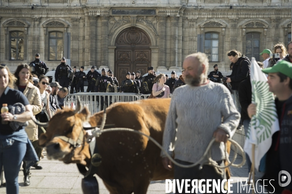 Las agriculteurs bloquent Marseille