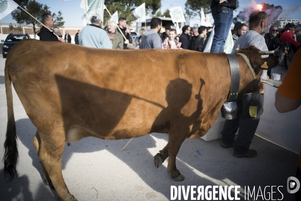 Las agriculteurs bloquent Marseille