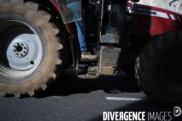 Las agriculteurs bloquent Marseille