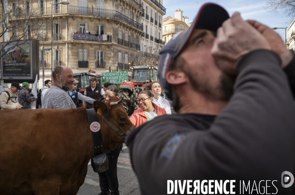 Las agriculteurs bloquent Marseille