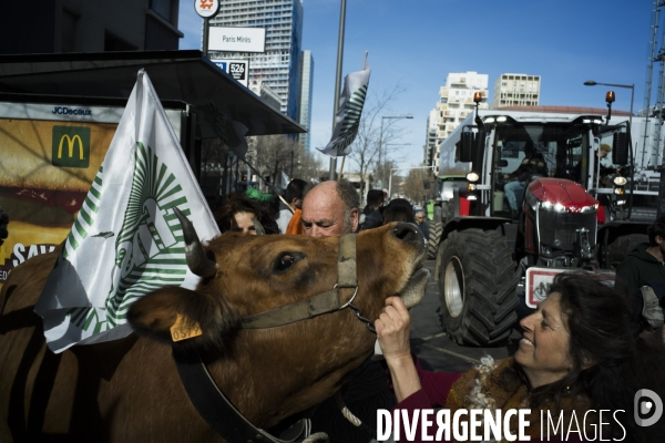 Las agriculteurs bloquent Marseille
