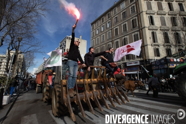 Manifestation des agriculteurs à Marseille