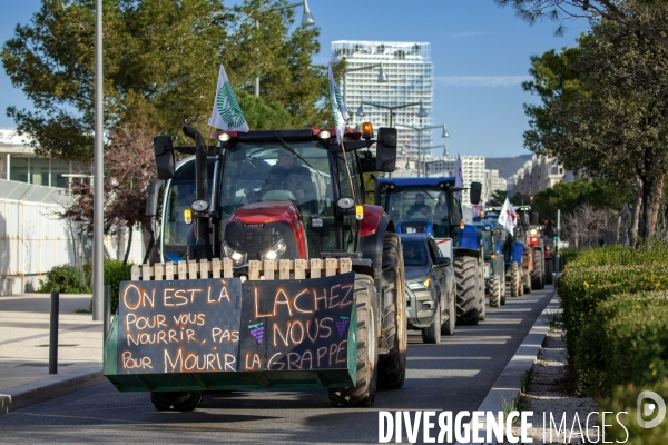 Manifestation des agriculteurs à Marseille