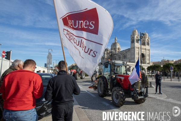 Manifestation des agriculteurs à Marseille