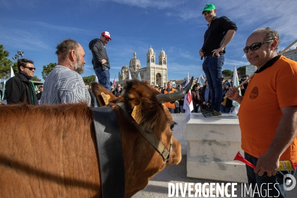 Manifestation des agriculteurs à Marseille