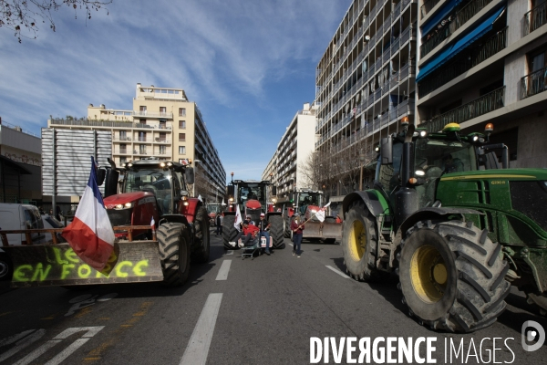 Manifestation des agriculteurs à Marseille