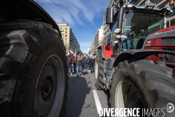 Manifestation des agriculteurs à Marseille