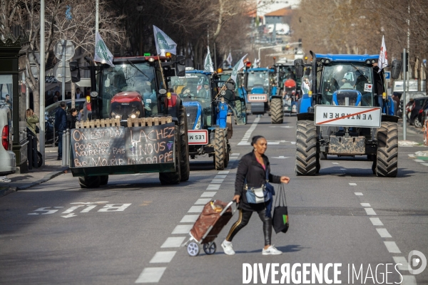 Manifestation des agriculteurs à Marseille