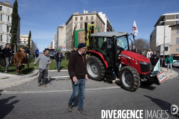 Manifestation des agriculteurs à Marseille