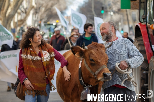 Manifestation des agriculteurs à Marseille