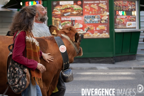 Manifestation des agriculteurs à Marseille