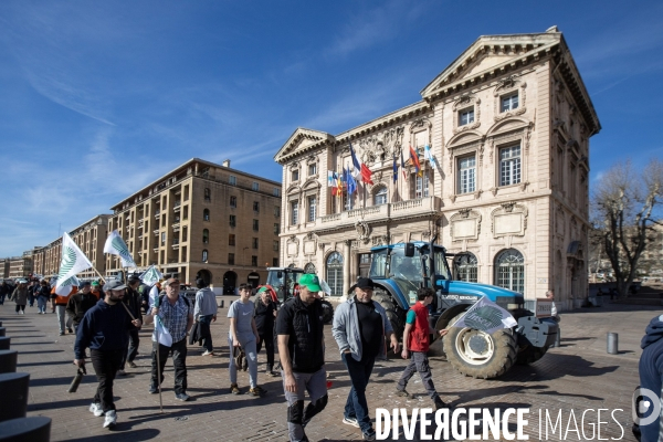 Manifestation des agriculteurs à Marseille