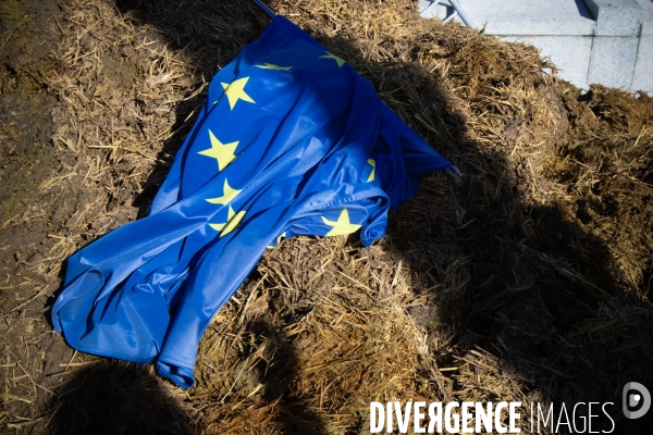 Manifestation des agriculteurs à Marseille