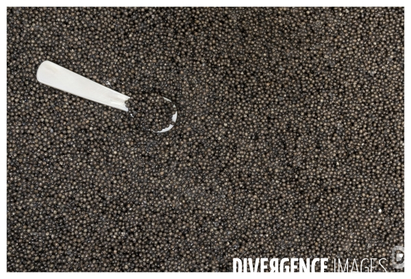 France - perigord - caviar de neuvic