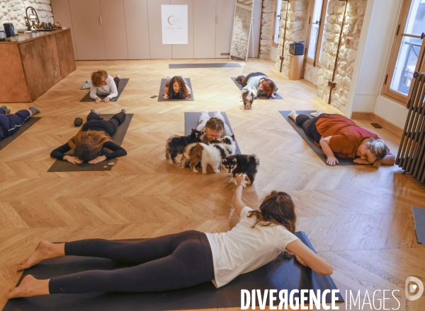 Puppy yoga chez yoga hina